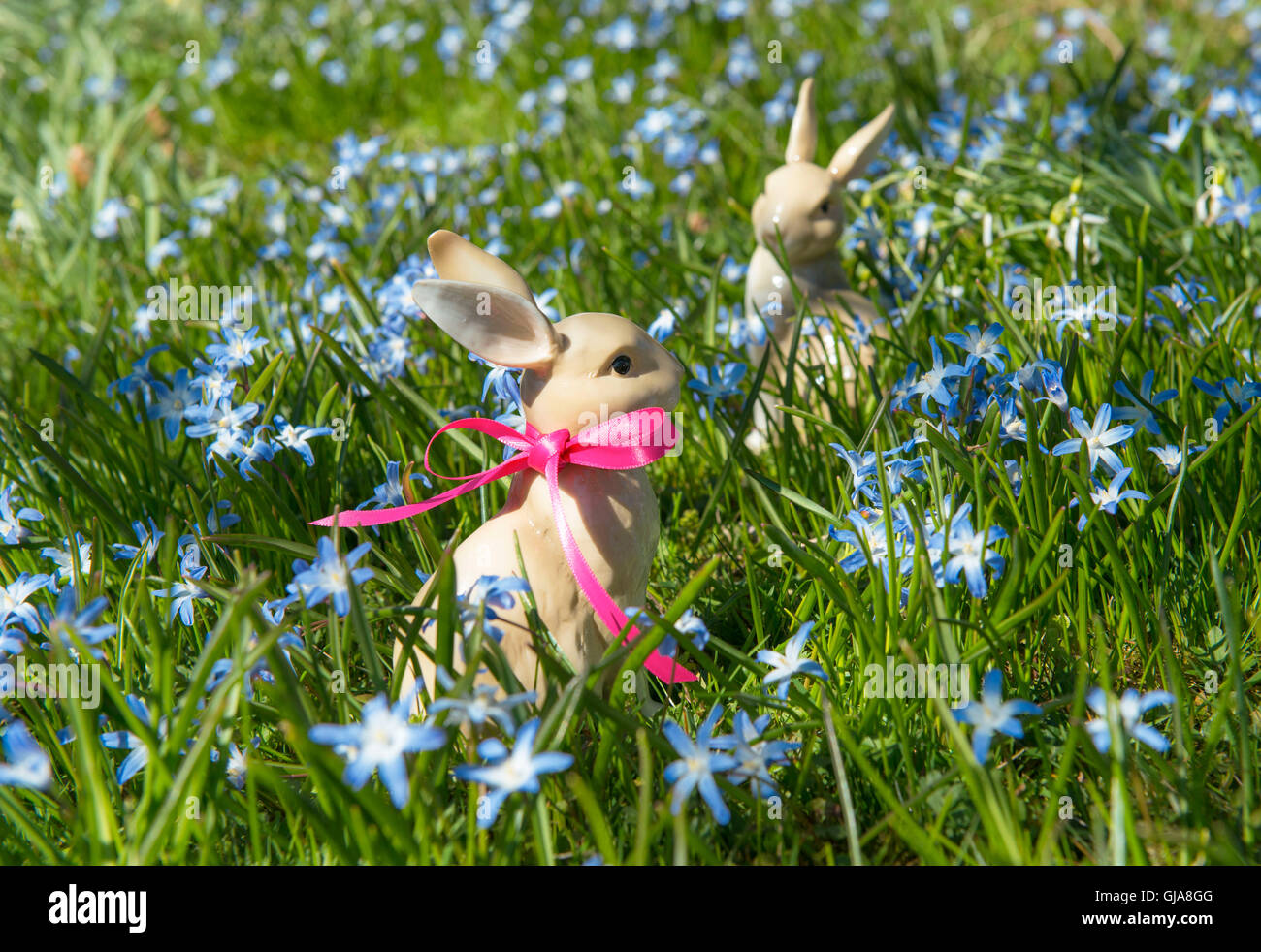 Due conigli pasquali nella primavera del prato Foto Stock