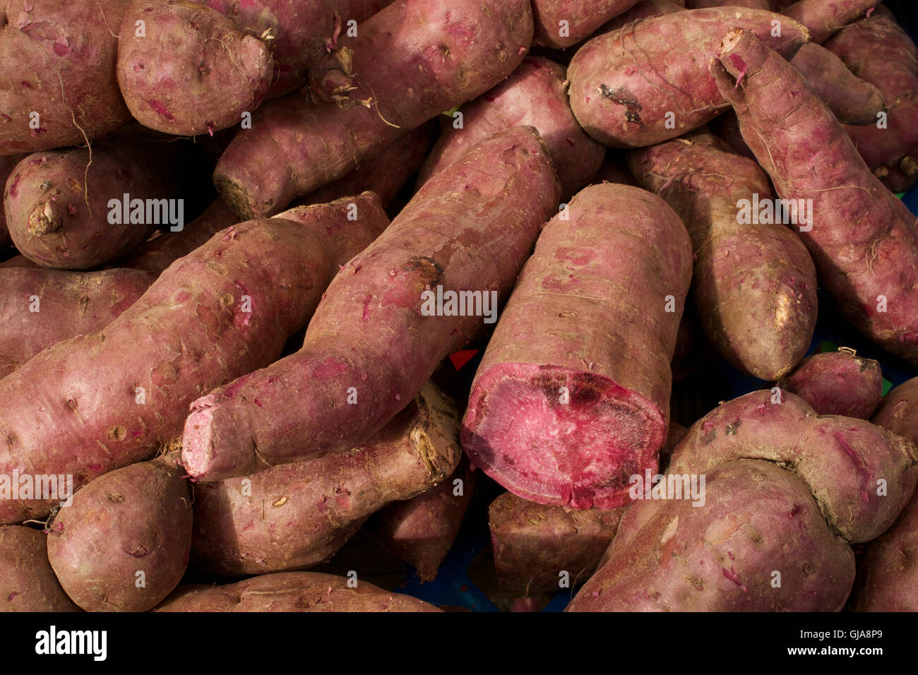 Viola la patata dolce venduto in un mercato di Auckland Foto Stock