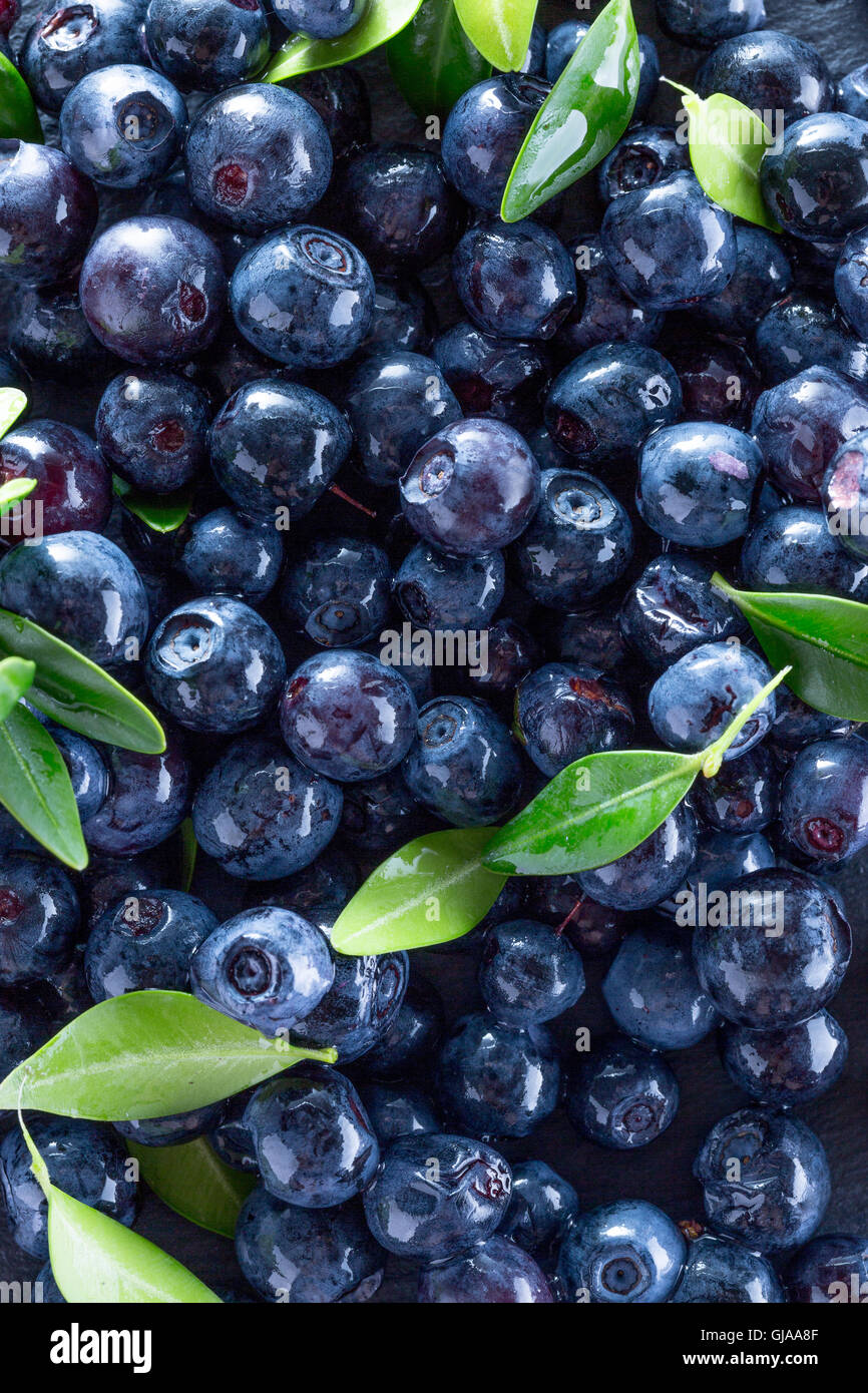 I mirtilli su una tavola di ardesia. Foto Stock I mirtilli su una tavola di ardesia. Foto Stock