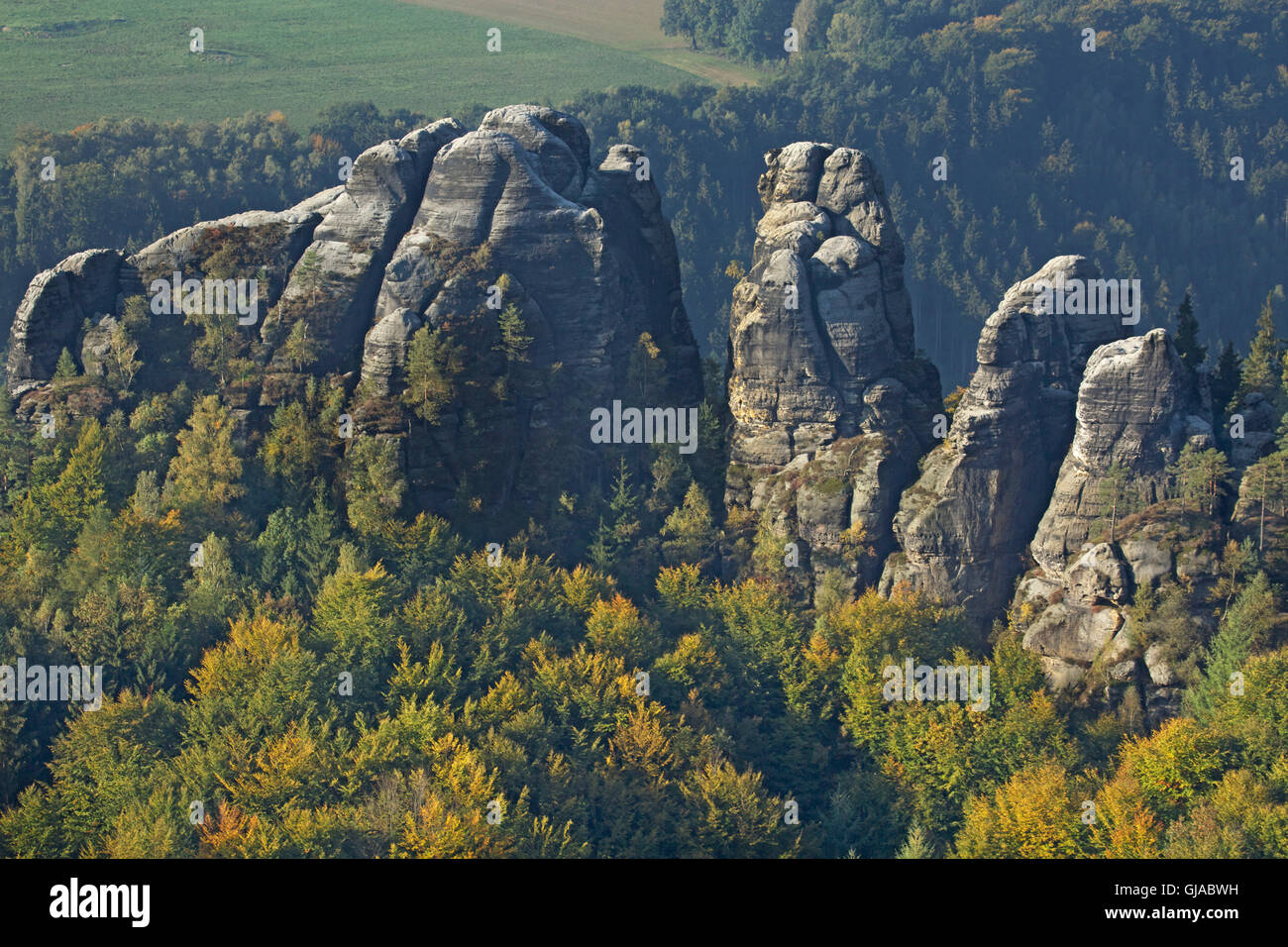 Rocce di arenaria, 'Vorderer Torstein', Meurerturm, Schrammsteine, Svizzera Sassone, foresta di faggio, autunnale, Foto Stock