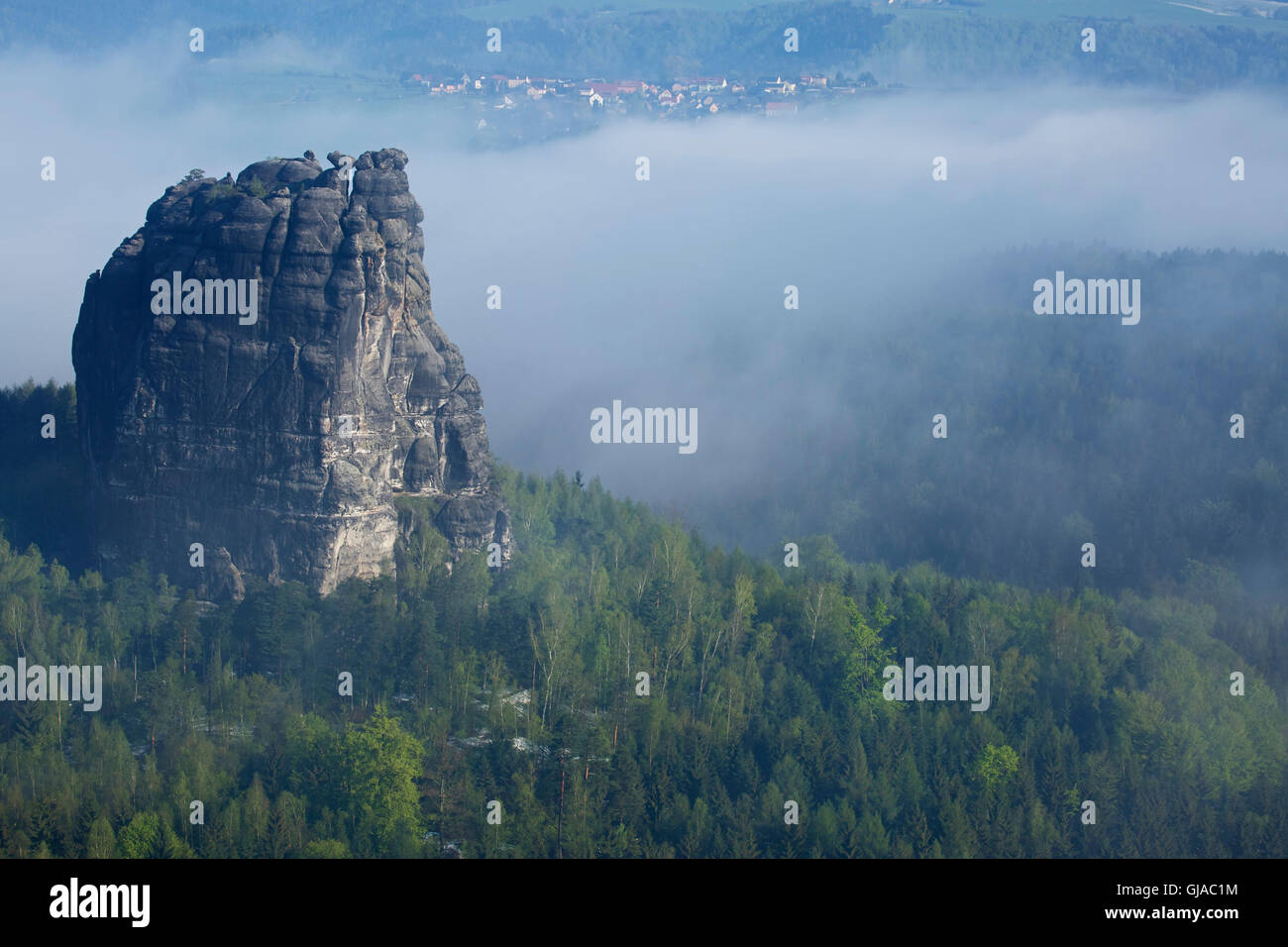 Vista dalla Schrammsteinaussicht, Elba montagne di arenaria, foresta, Falkenstein Rathmannsdorf, Foto Stock