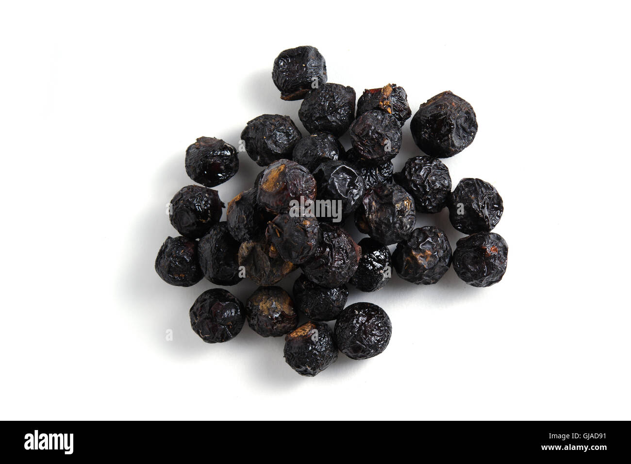Organici soapberry cinese o Sapindus Reetha (chiamato anche come Sapindus mukorossi, sapone il dado albero arbusto, litchi, sapindaceae, sapone Foto Stock