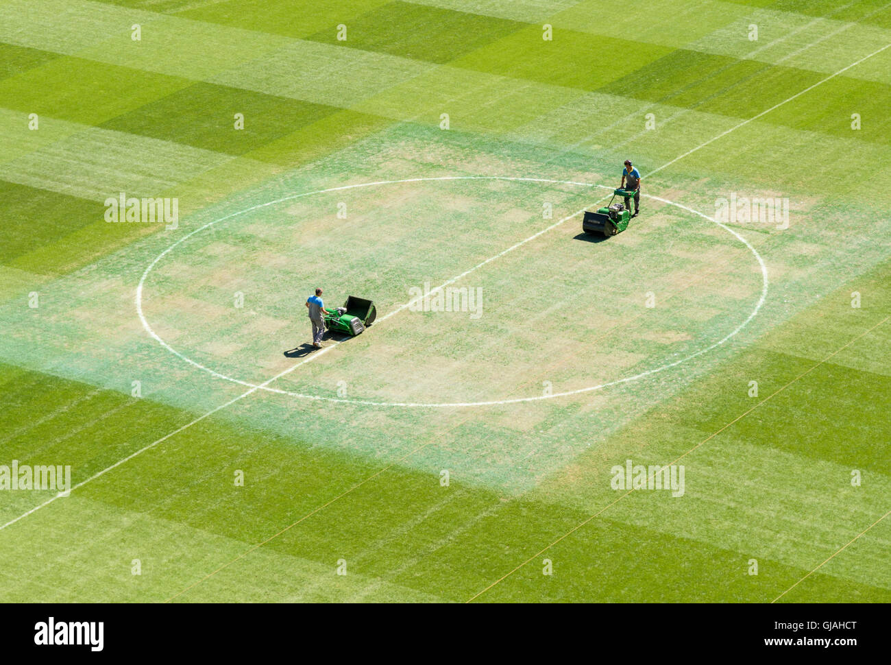 Groundsmen falciare l'erba passo presso lo Stadio Santiago Bernabéu, Madrid, Spagna Foto Stock