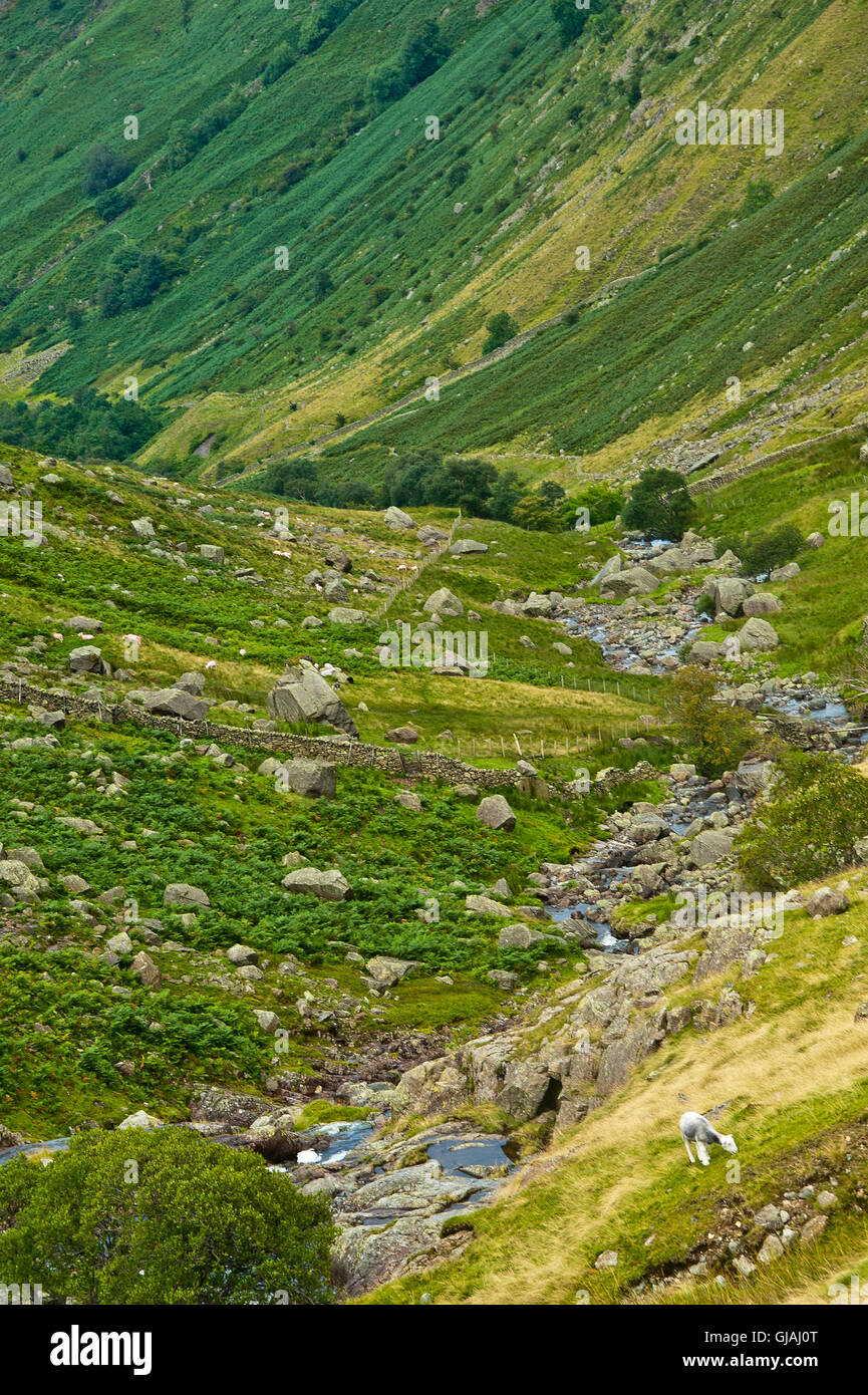 Ascendente di sollevamento elevato lungo greenup gill da Silverdale, Keswick, Lake District, cumbria Foto Stock