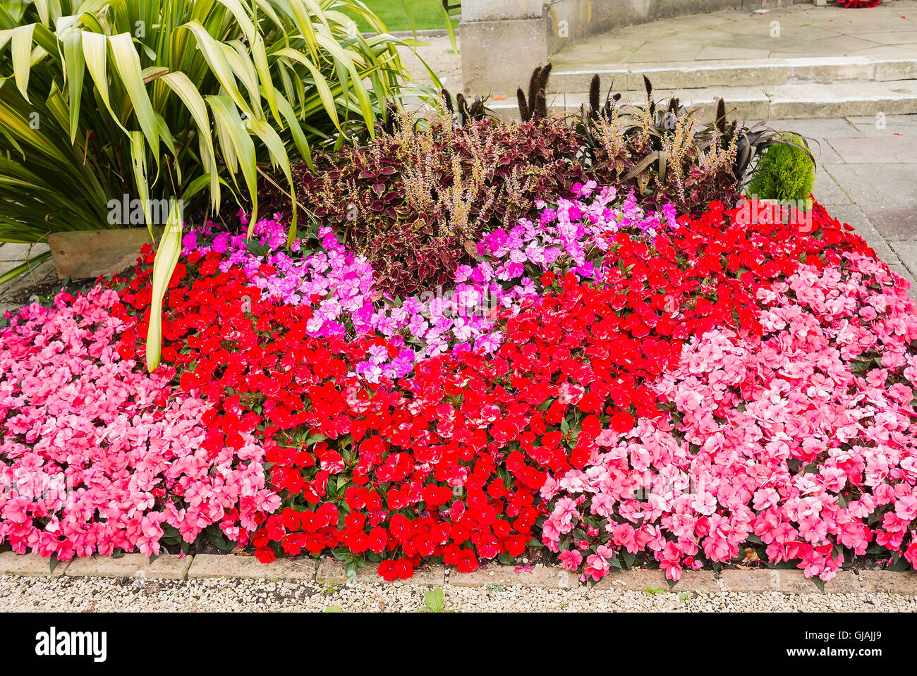 Memorial giardino fiorito con biancheria da letto begonie Foto Stock