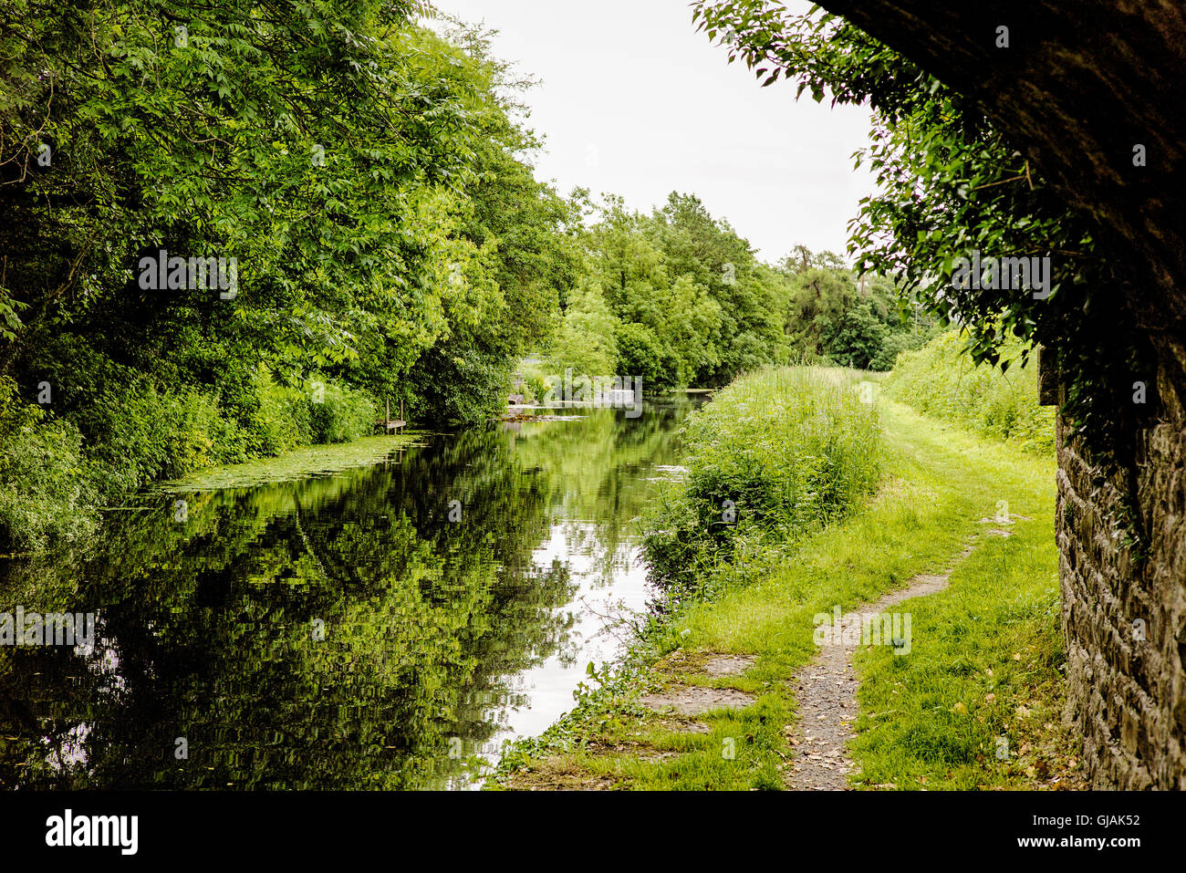 Un tratto tranquillo della Lancaster canal vicino Crooklands in Cumbria Regno Unito Foto Stock