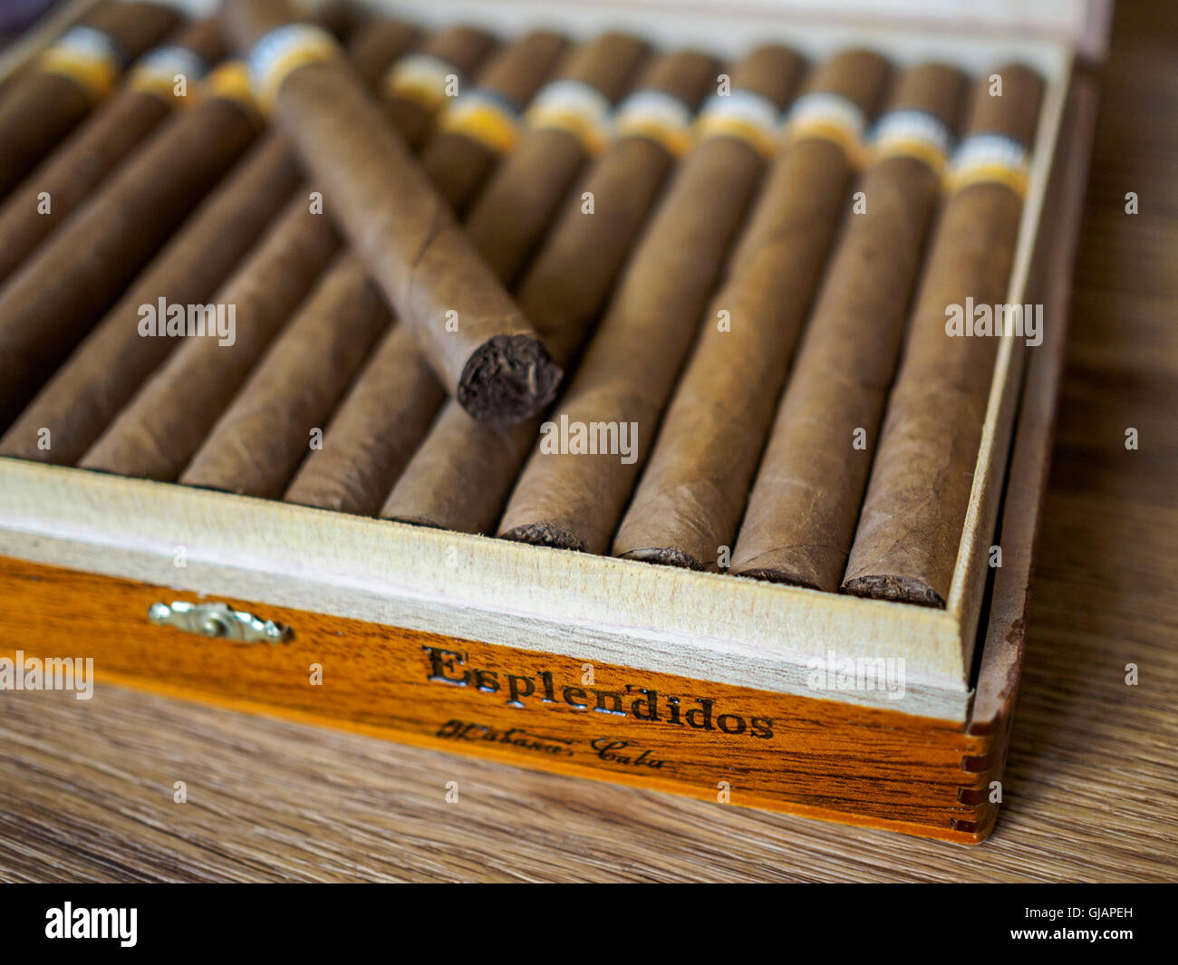 Sigaro cubano scatola contenente Cohiba Esplendios sigari, fatta a mano in  Cuba Foto stock - Alamy
