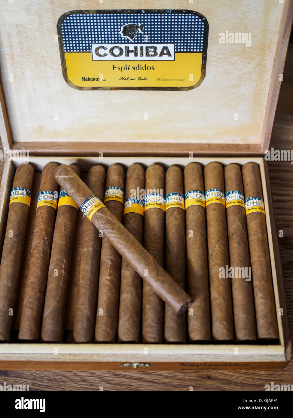 Sigaro cubano scatola contenente Cohiba Esplendios sigari, fatta a mano in Cuba Foto Stock