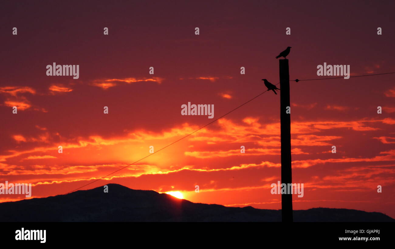 Profondo rosso tramonto con un palo telefonico e di uccelli nel caldo deserto Foto Stock