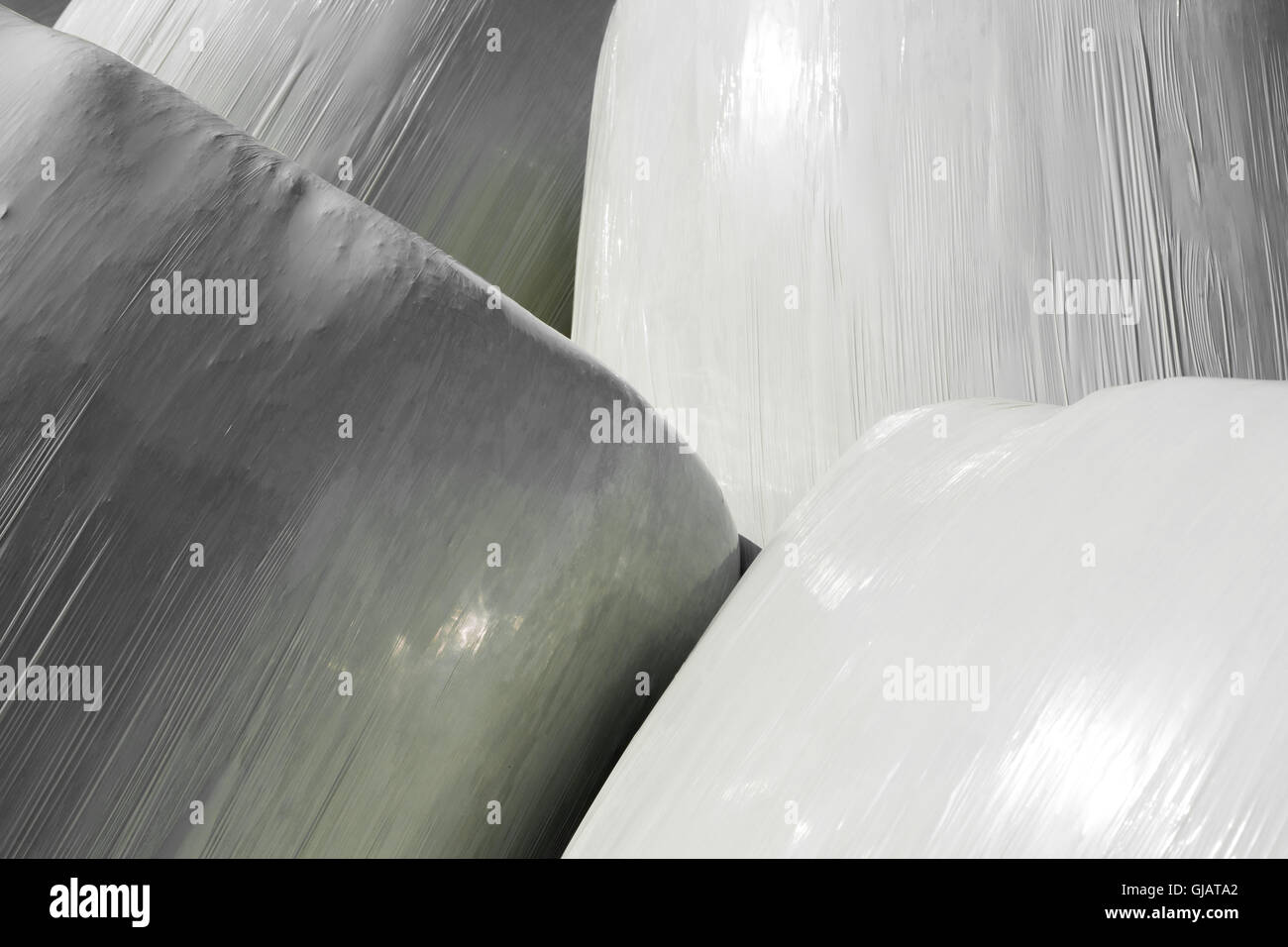 Balle di fieno-silo. Foto Stock