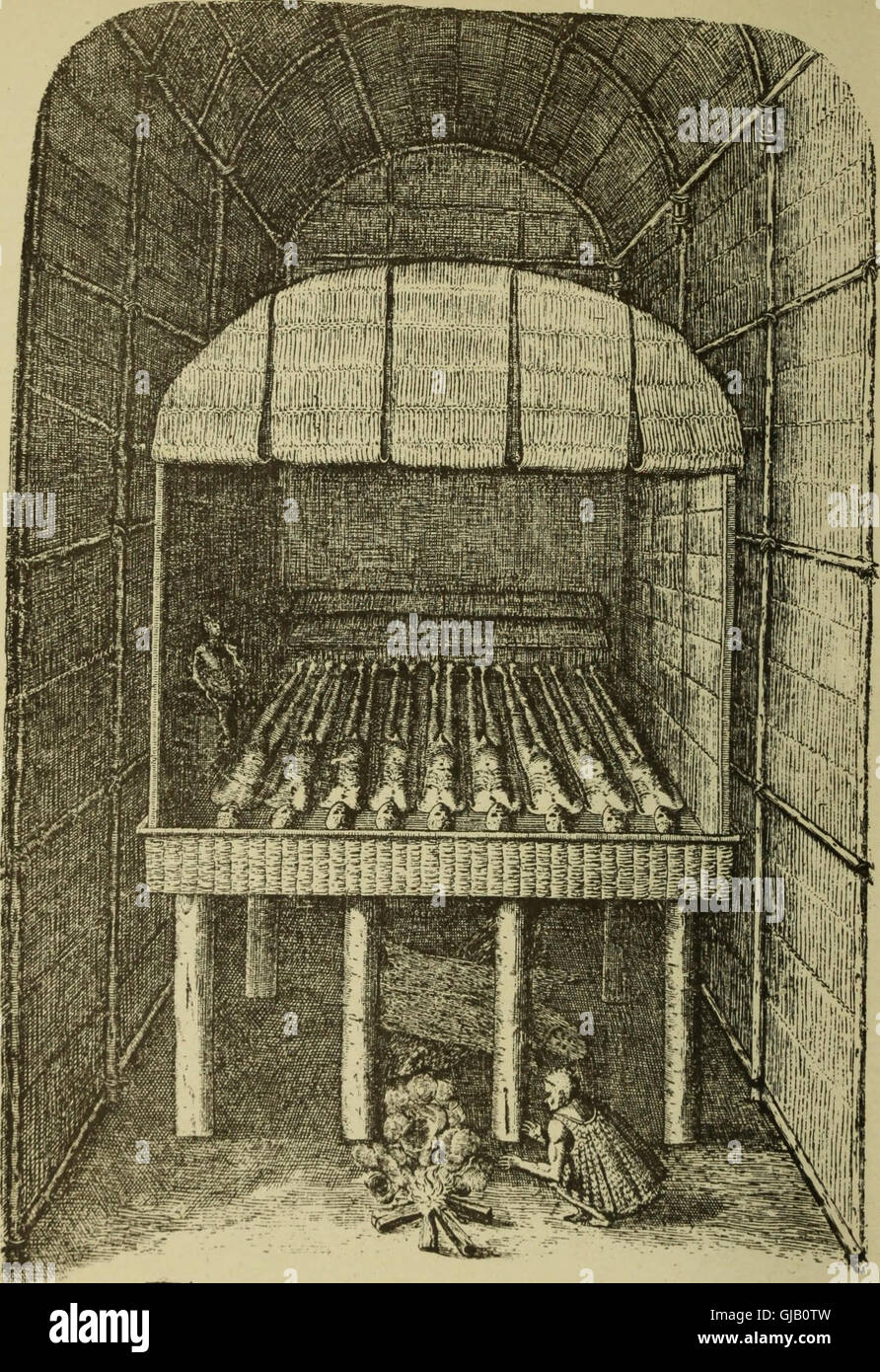 Questa lettera, scritta da Cristoforo Colombo a Luis de Sant'Angel, datata 15 febbraio 1493, fu un documento chiave nella storia delle Americhe. Descrive le scoperte di Colombo nel nuovo mondo e l'accoglienza della sua spedizione. La lettera è stata ristampata e tradotta dall'edizione originale, fornendo preziose informazioni storiche sul primo viaggio transatlantico. Foto Stock