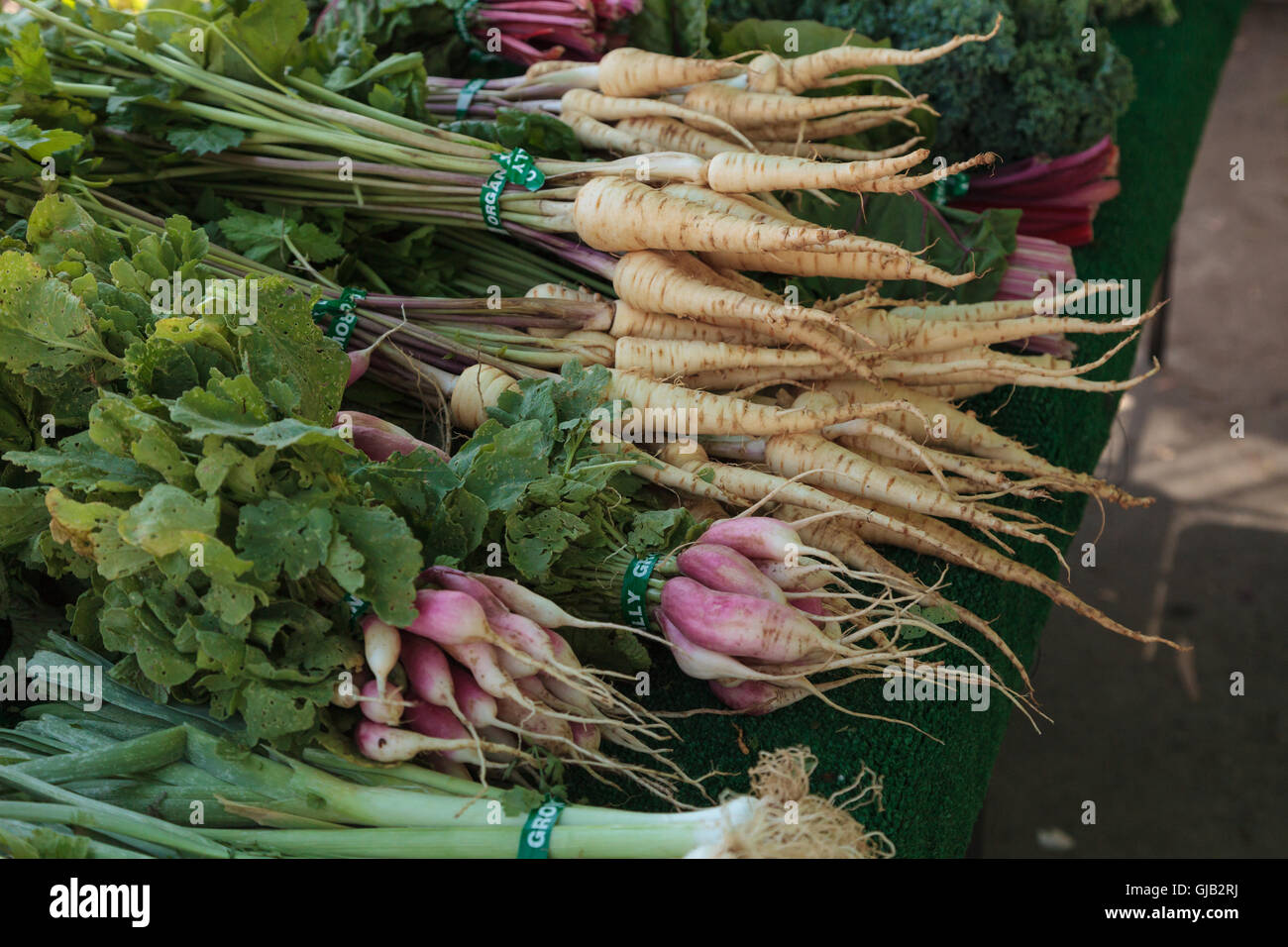 Mix di colorati in giallo e bianco di carote con red ravanelli coltivate e raccolte nel sud della California e visualizzate in un gli agricoltori Foto Stock Mix di colorati in giallo e bianco di carote con red ravanelli coltivate e raccolte nel sud della California e visualizzate in un gli agricoltori Foto Stock