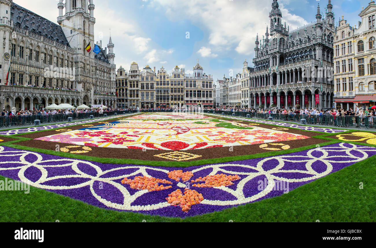 Brussel, Belgio agosto, 14 2016. Tappeto di fiori nella piazza principale  di Bruxelles Foto stock - Alamy