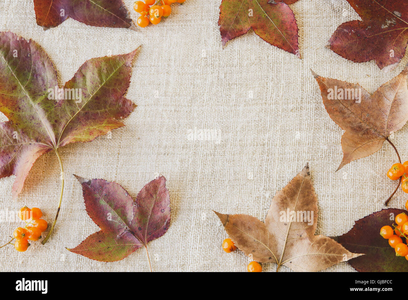 Autumn Fall lascia spazio copia tonificante sullo sfondo del ringraziamento Foto Stock