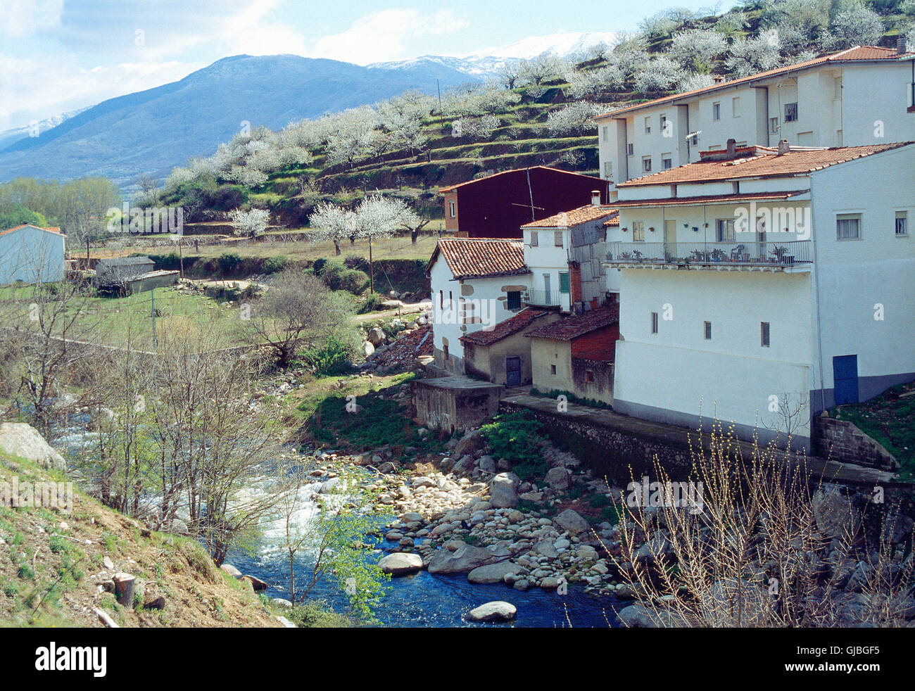 Fiume Jerte e paesaggio. Cabezuela del Valle, Jerte valley, provincia di Cáceres, Exremadura, Spagna. Foto Stock