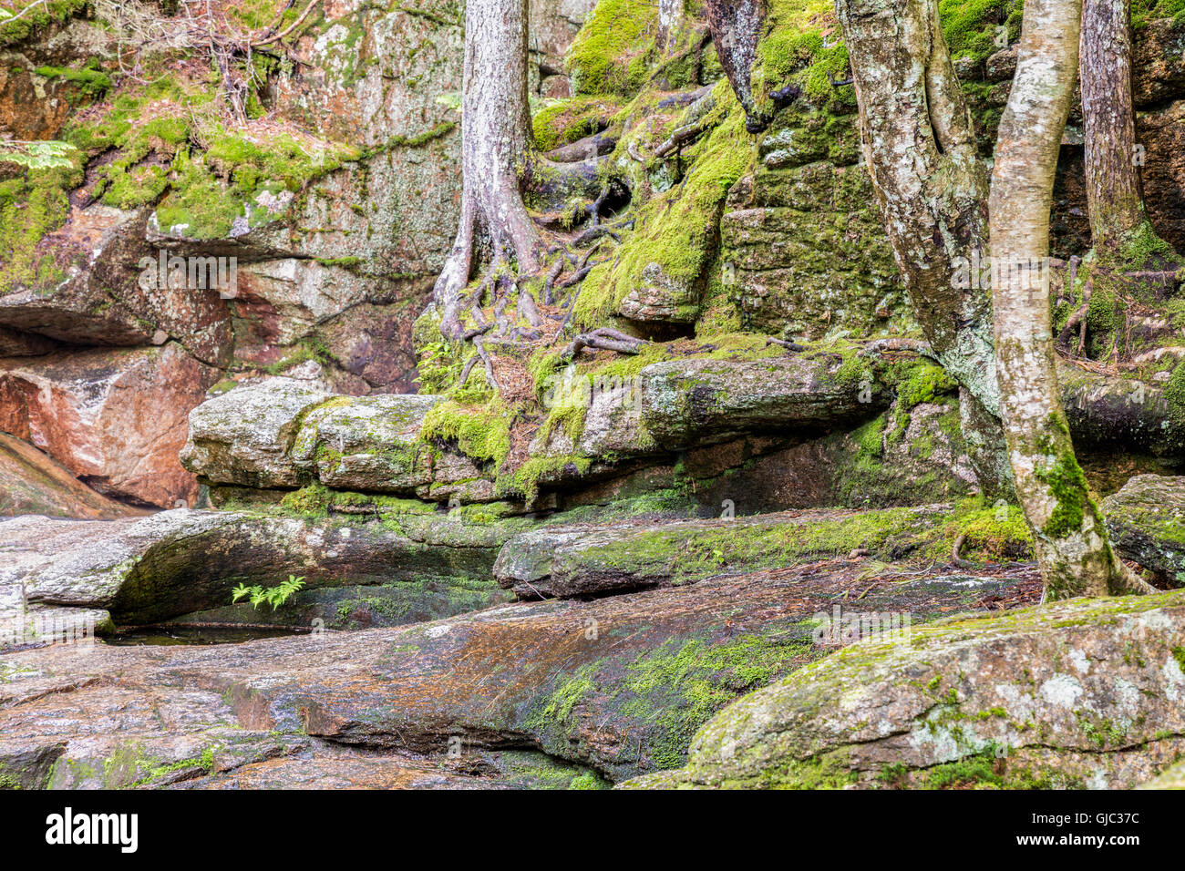 New Hamphire's aspro paesaggio, Off la Kancamagus Highway, Albany, New Hampshire Foto Stock