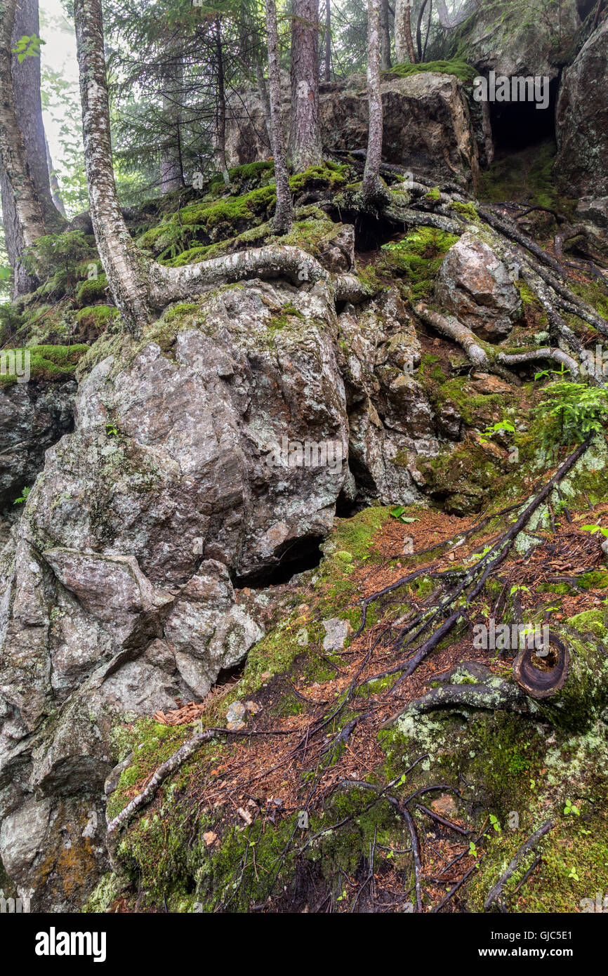 New Hampshire è aspro paesaggio, Glen Ellis Falls, Jackson, New Hampshire Foto Stock
