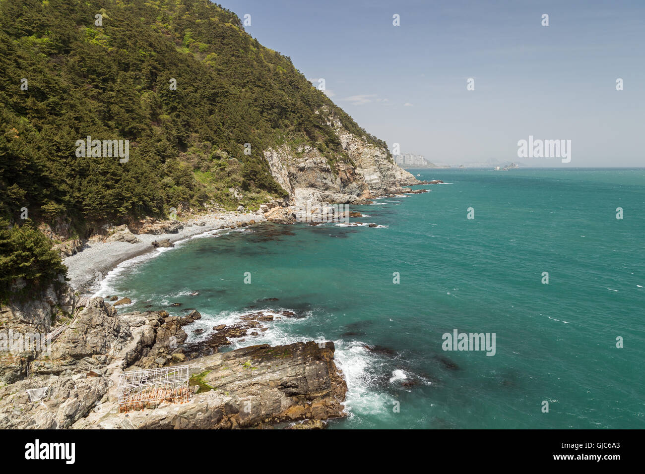 Vista dell'oceano, coste rocciose e lussureggiante scogliera a Taejongdae Resort Park a Busan, in Corea del Sud. Foto Stock