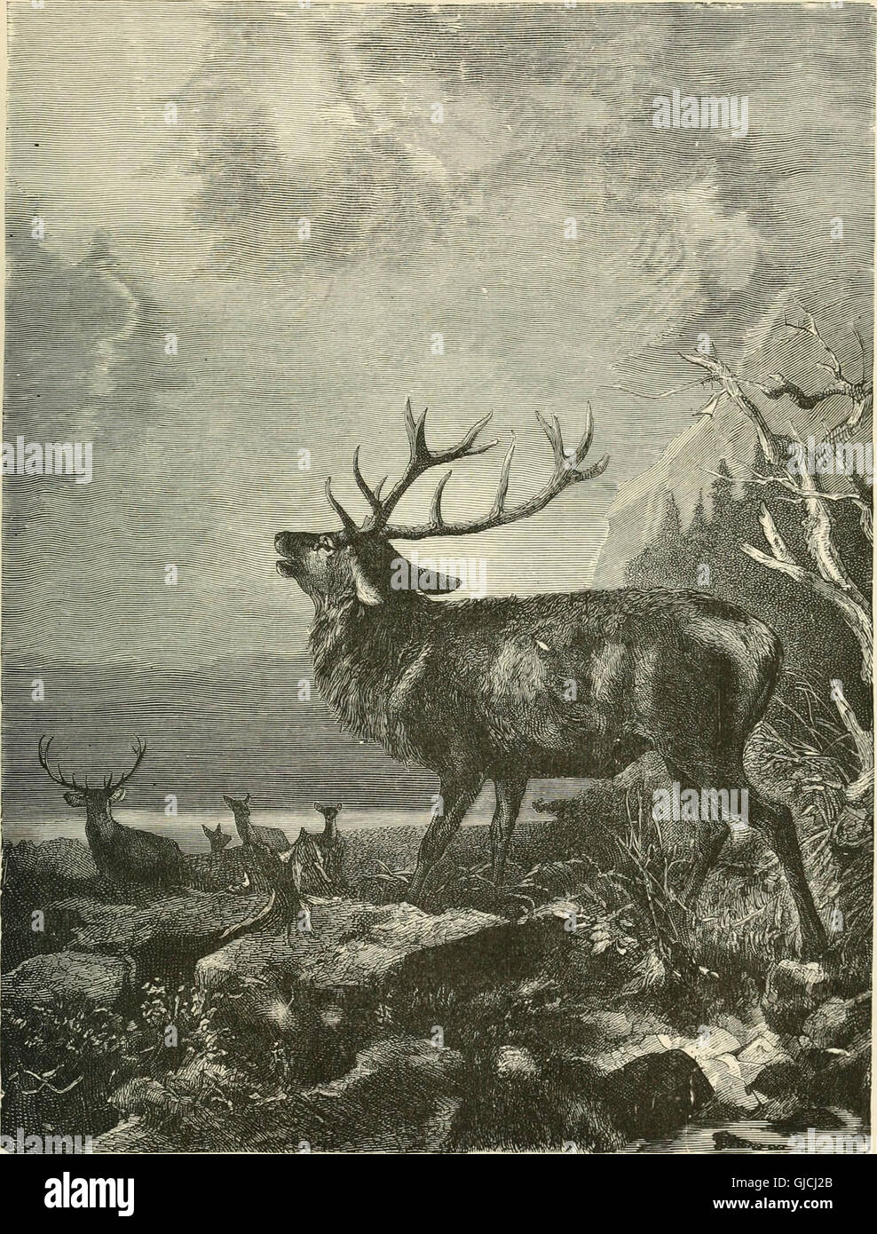 Questo libro del 1889 presenta una raccolta di letture e illustrazioni, che fornisce una miscela di contenuti letterari e immagini visive. Destinato alla lettura domenicale, include storie, articoli e immagini adatte a un vasto pubblico. Foto Stock