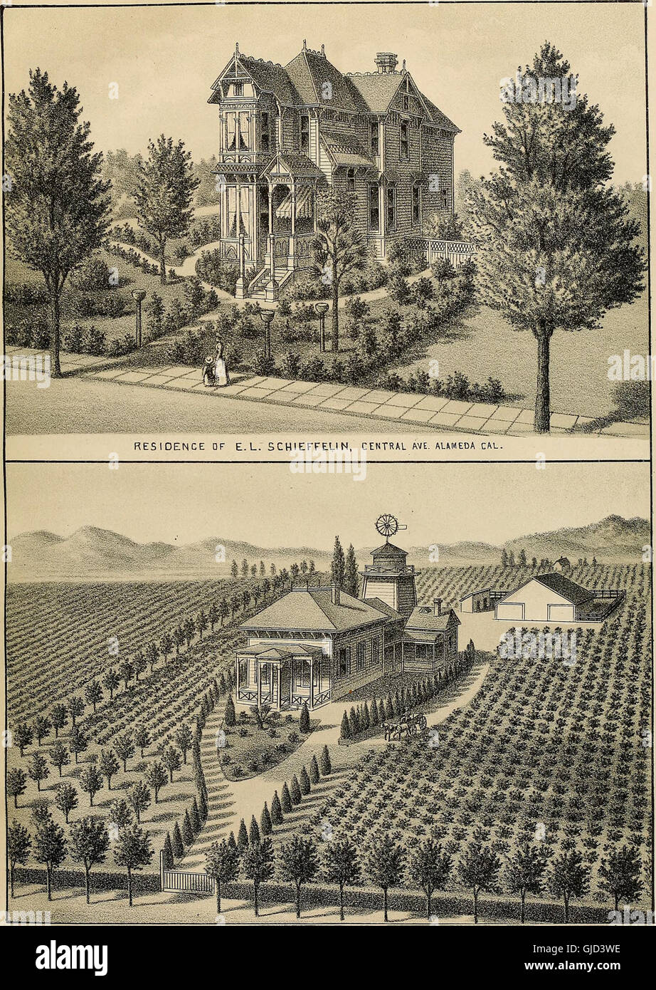 Album illustrato della contea di Alameda, California; anzitempo la sua storia e i progressi-agricoltura, viticoltura e orticoltura-educativo, la fabbricazione e la ferrovia vantaggi-Oakland e Foto Stock