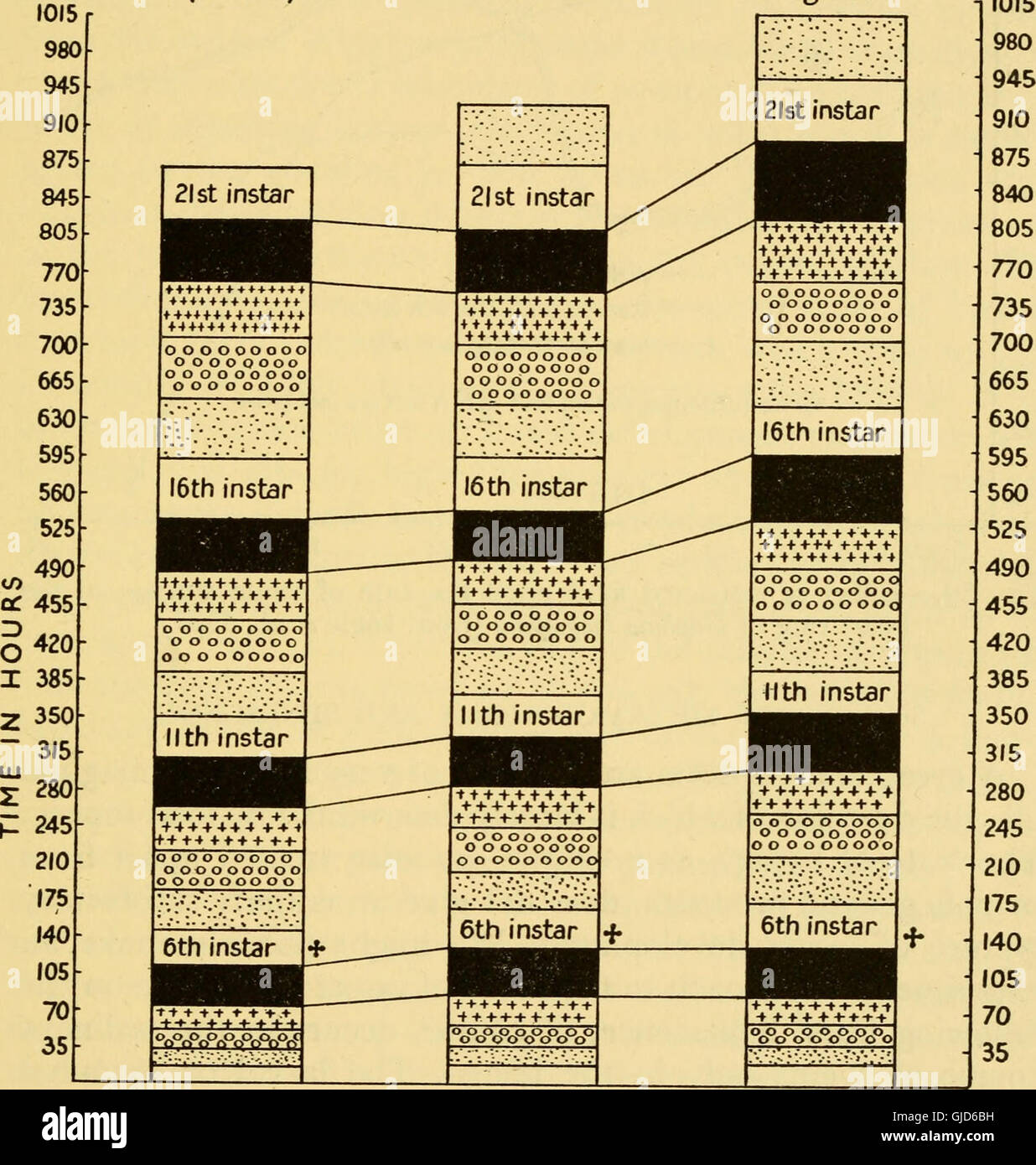 Questo lavoro del 1956 esplora i processi biologici dell'invecchiamento (senescenza) negli organismi viventi, concentrandosi sui cambiamenti cellulari e sul declino fisiologico associato all'invecchiamento. Presenta teorie e scoperte scientifiche sulla longevità e sui meccanismi di invecchiamento. Foto Stock