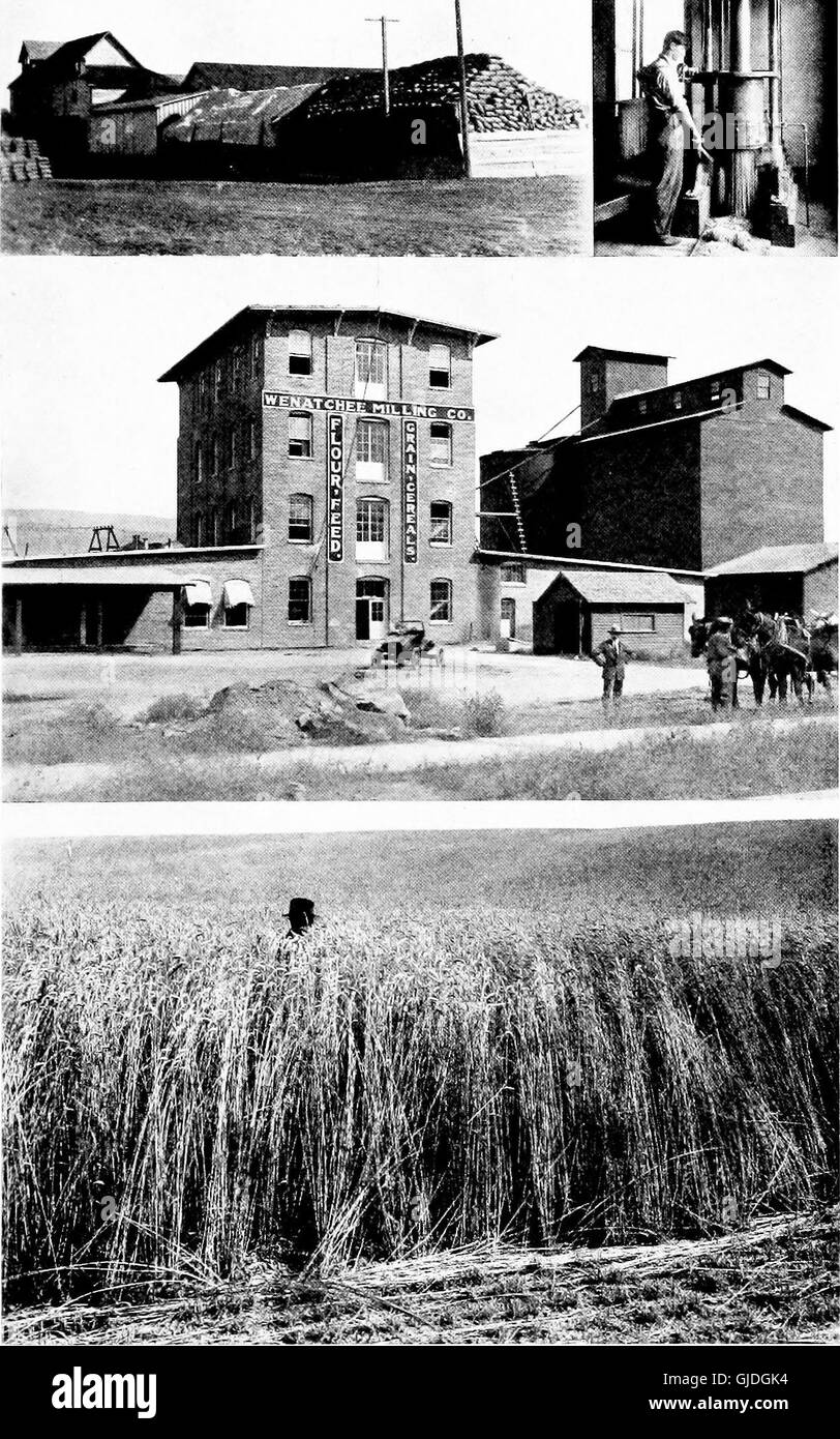 Opportunità di produzione nello stato di Washington (1918) Foto Stock