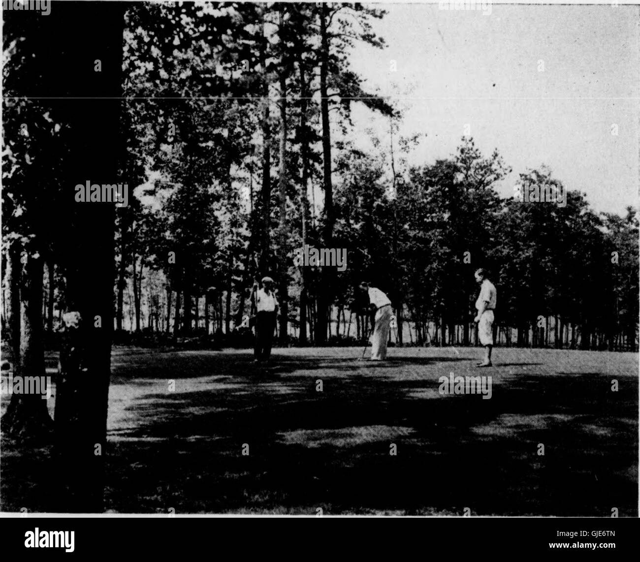 Il Bulletin (Pennsylvania Department of Forests and Waters) n.. 51-55, pubblicato nel 1923, presenta importanti informazioni sulle pratiche forestali, la conservazione e la gestione delle risorse naturali durante l'inizio del XX secolo in Pennsylvania. Foto Stock