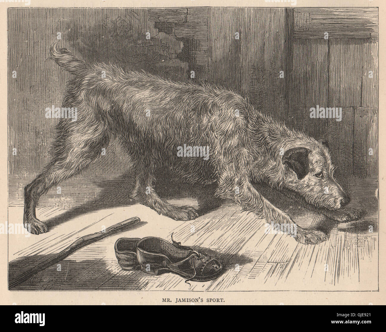 I CANI. Il sig. Jamison dello Sport, antica stampa 1881 Foto Stock