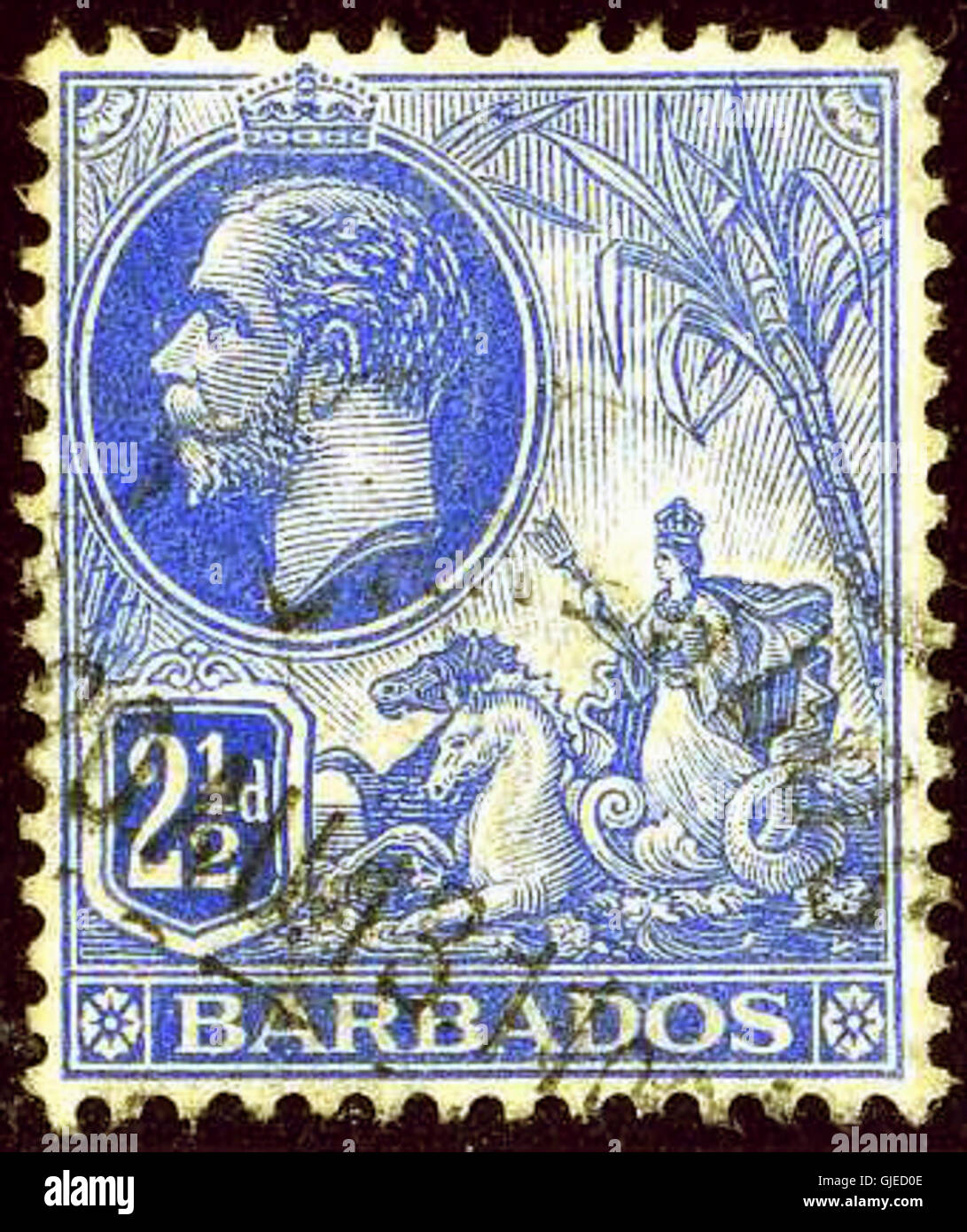 Il francobollo Barbados Yv96 SG174 del 1913 2½d presenta una vivace rappresentazione dei simboli nazionali dell'isola. Il francobollo faceva parte di un set emesso durante l'inizio del XX secolo per ospitare i servizi postali regolari sull'isola. Foto Stock