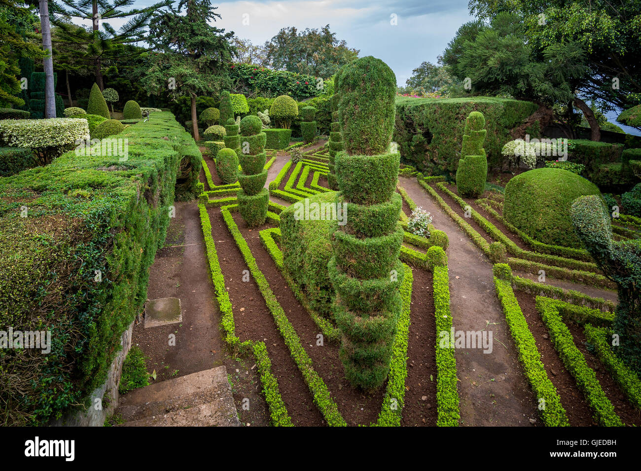 Decorative piante verdi vista sul giardino botanico di Funchal, Madeira Foto Stock