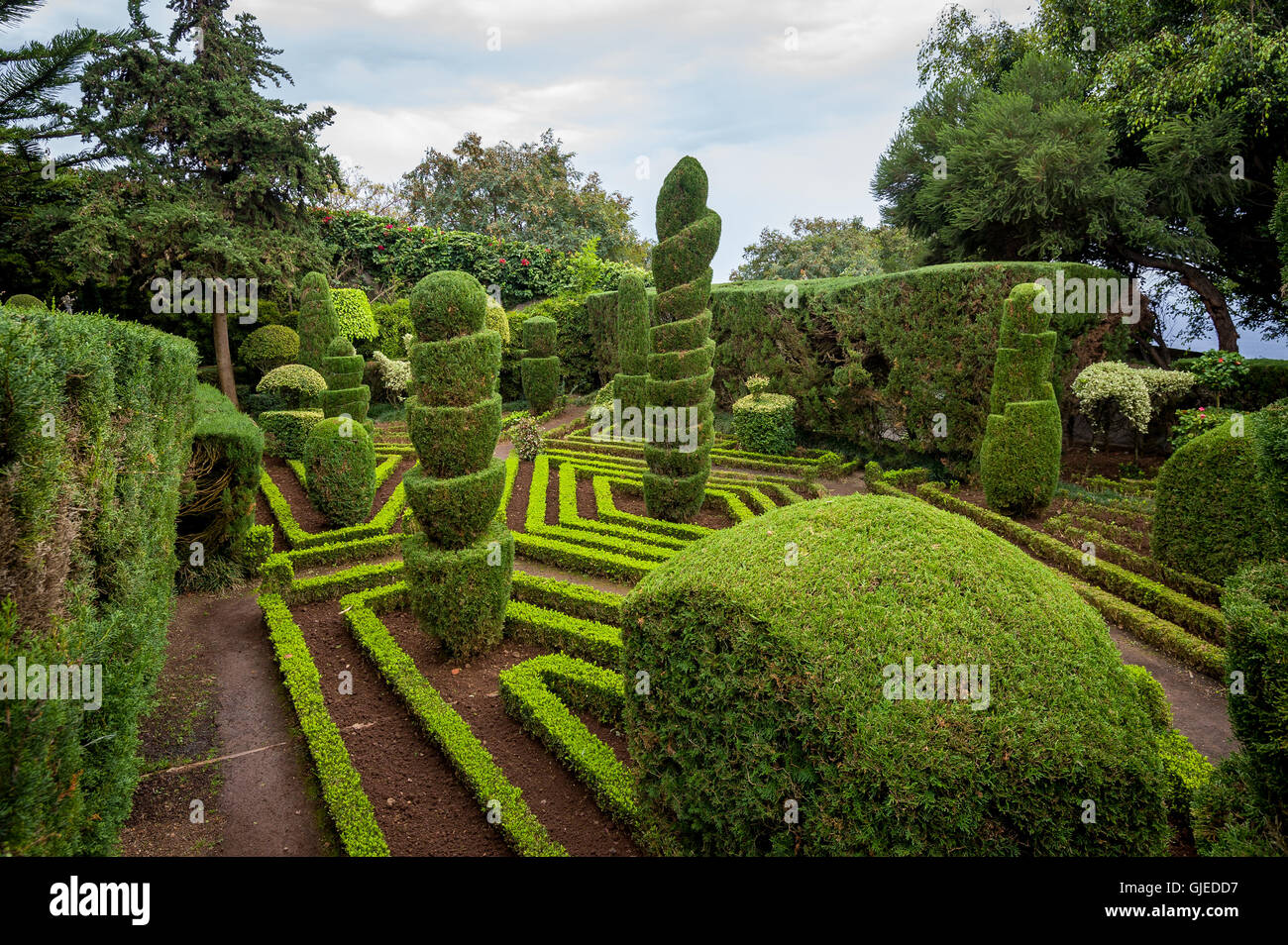 Verde a forma di piante e passi al giardino botanico di Funchal, Madeira Foto Stock