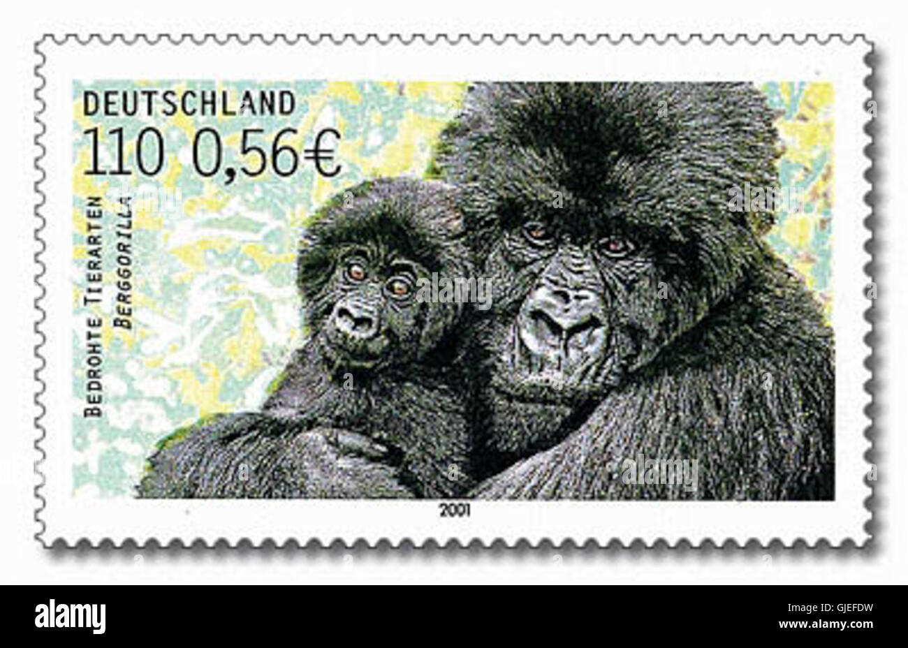 Il francobollo tedesco MiNr2182 Berggorilla del 2001 mostra il gorilla di montagna in via di estinzione. Questo francobollo, emesso come parte di una serie che mette in evidenza le specie in via di estinzione, mira a sensibilizzare sulla conservazione della fauna selvatica. Foto Stock