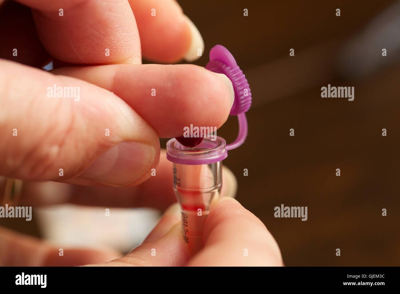 Il prelievo di sangue dal dito per ordine di posta test del sangue. Foto Stock