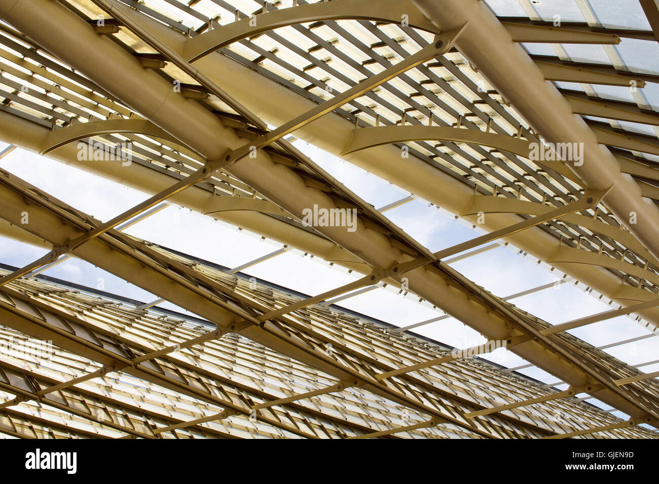 Metallo tetto strutturato in Parigi Foto Stock