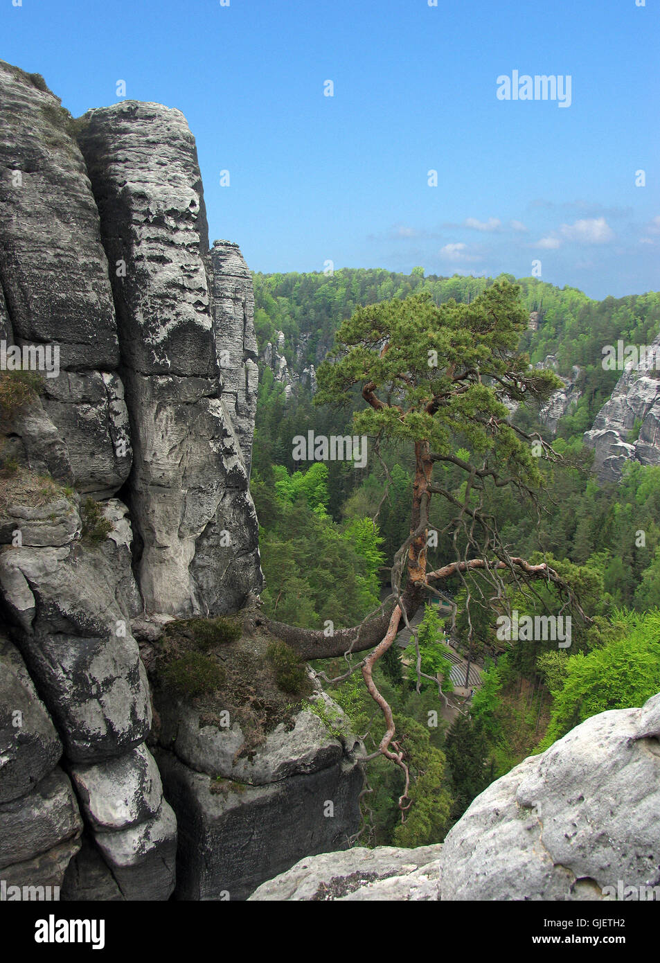 La vita trova un modo Foto Stock