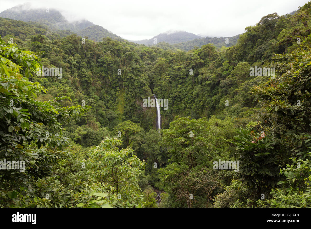 La cascata di Fortuna cade attraverso la foresta pluviale, Arenal, provincia di Alajuela, Costa Rica, America Centrale Foto Stock
