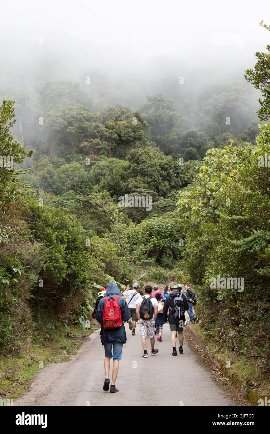 Gli escursionisti a piedi nella foresta nuvolosa , Poa, Costa Rica, America Centrale Foto Stock