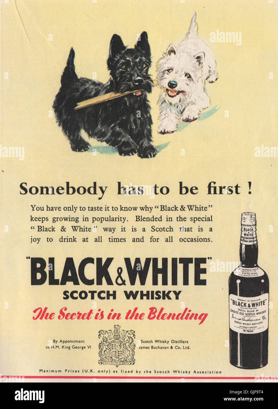 Annuncio di whisky. In bianco e nero di Scotch Whisky, vintage print 1951 Foto Stock