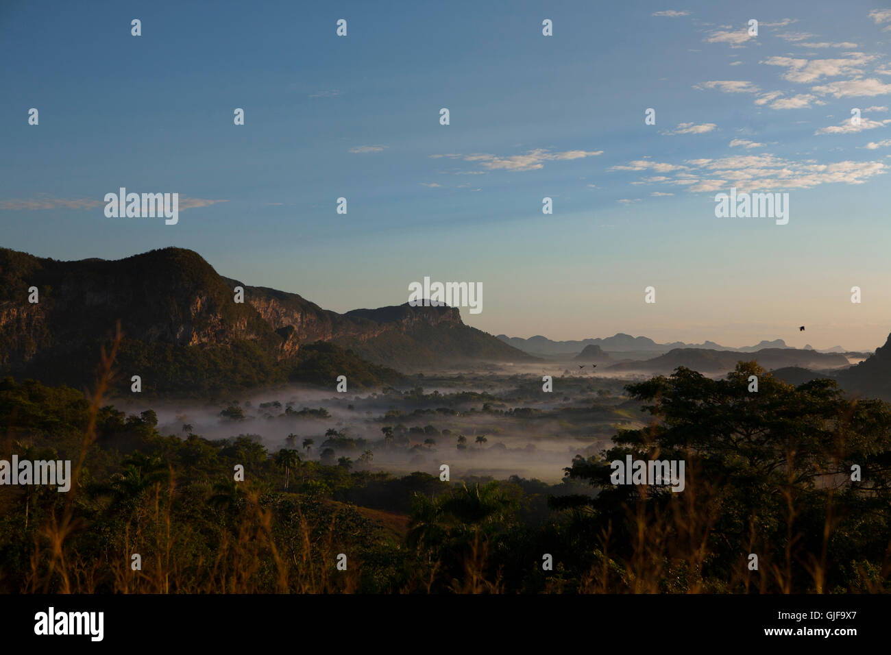 Un inizio di mattina vista sulla valle in Viniales Cuba Foto Stock