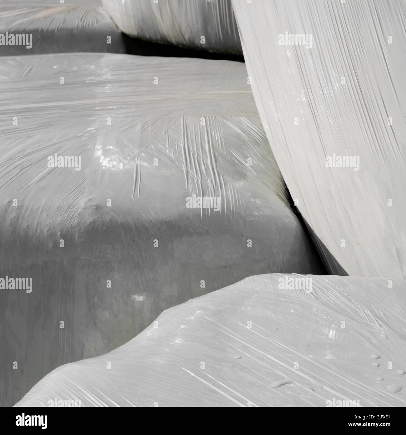 Balle di fieno-silo. Foto Stock