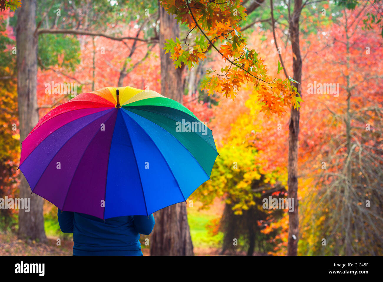 Donna in piedi sotto la pioggia in autunno park con ombrello coloratissimo. Color-tonificante applicato Foto Stock