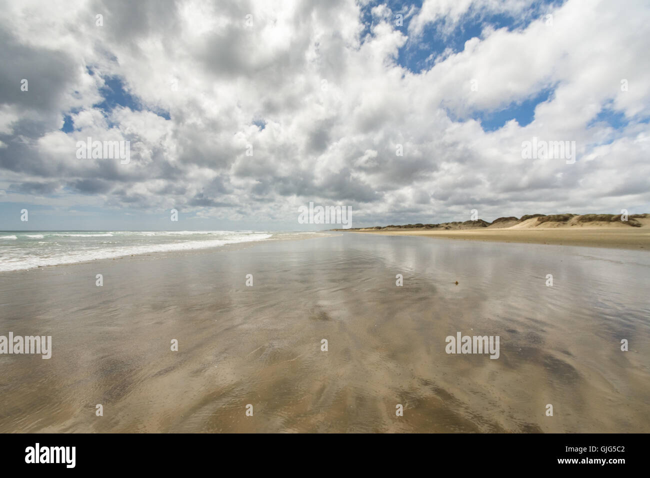 90 Mile Beach e acqua. Nuova Zelanda Isola del nord 2016 Foto Stock