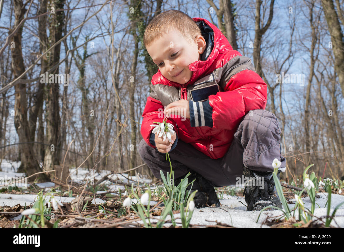 Ragazzo picking fiori di primavera Foto Stock