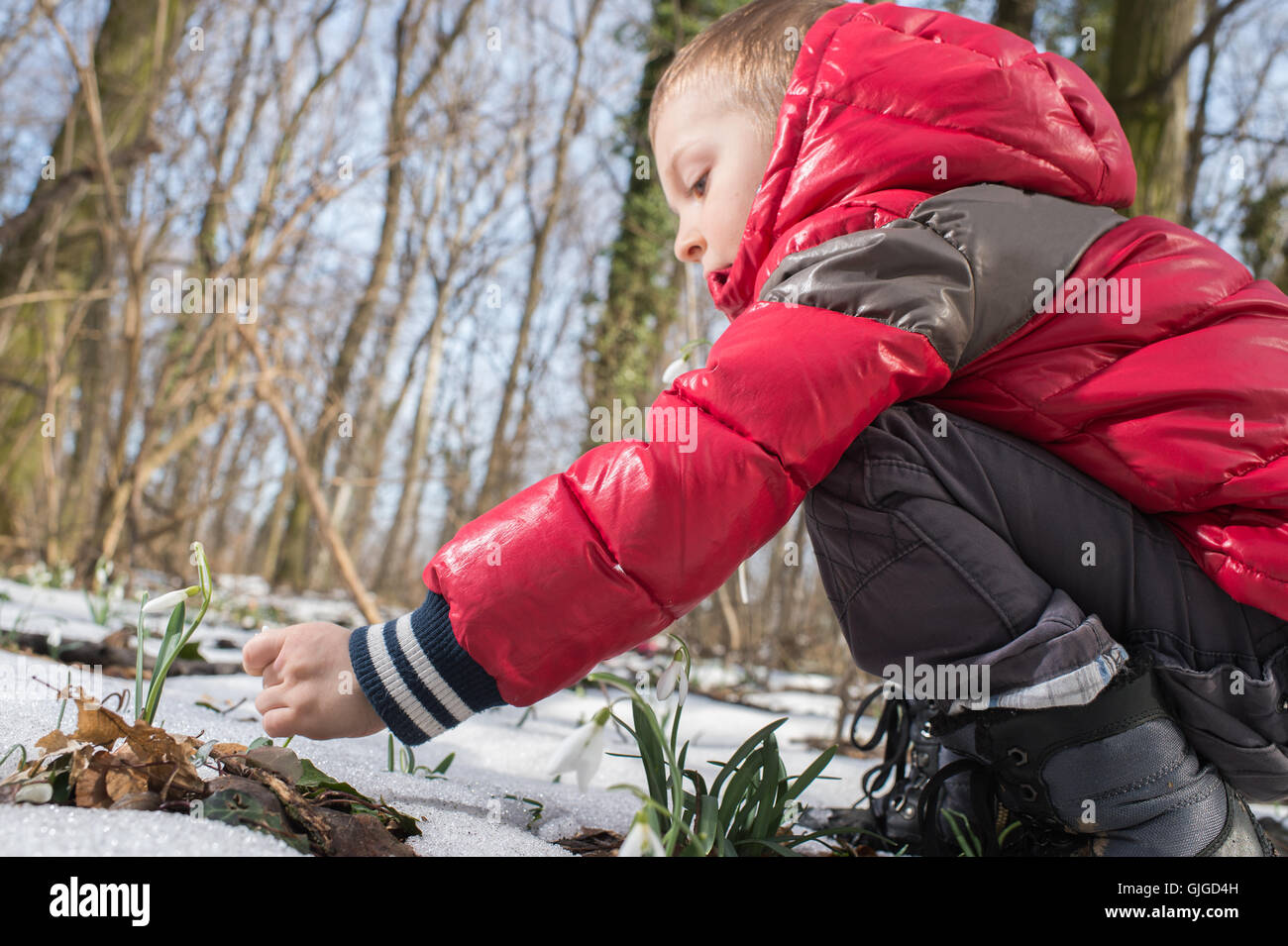 Ragazzo picking fiori di primavera Foto Stock