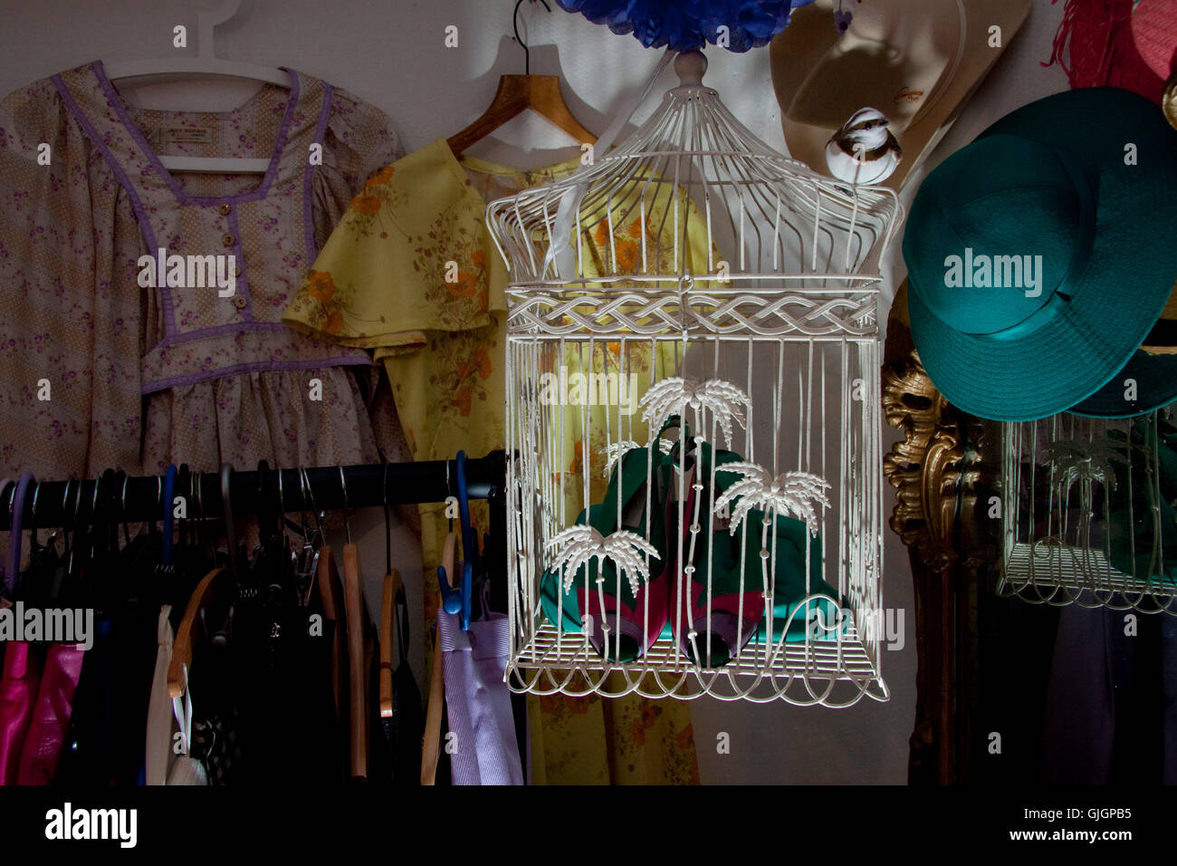 Illuminato dal basso drammatico birdcage bianco in un negozio vintage Foto Stock