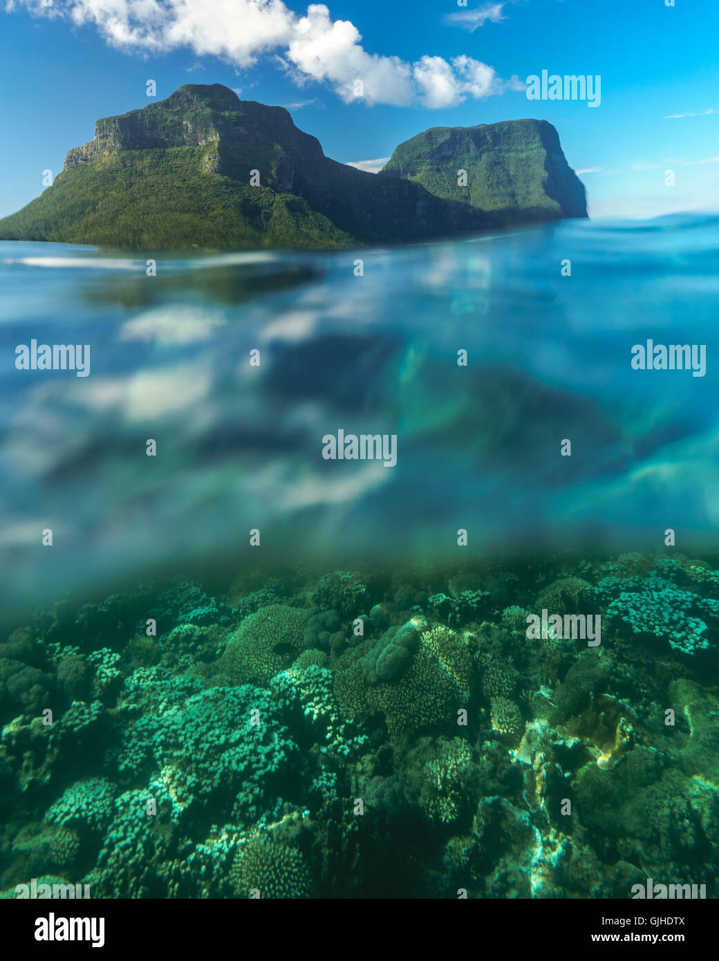 Coral reef e montagne, Isola di Lord Howe, Nuovo Galles del Sud, Australia Foto Stock