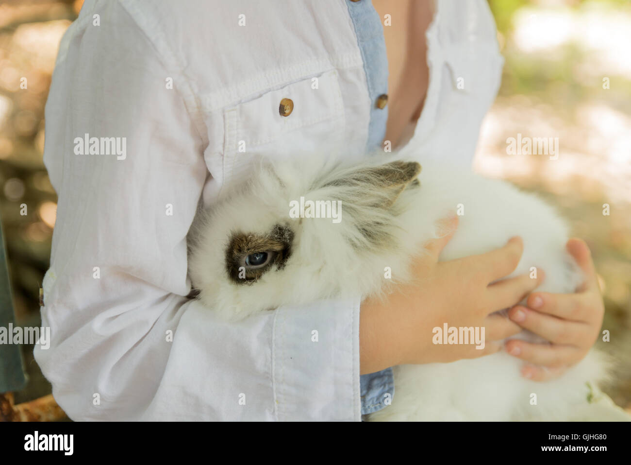 Ragazzo seduto con soffice coniglio pet Foto Stock