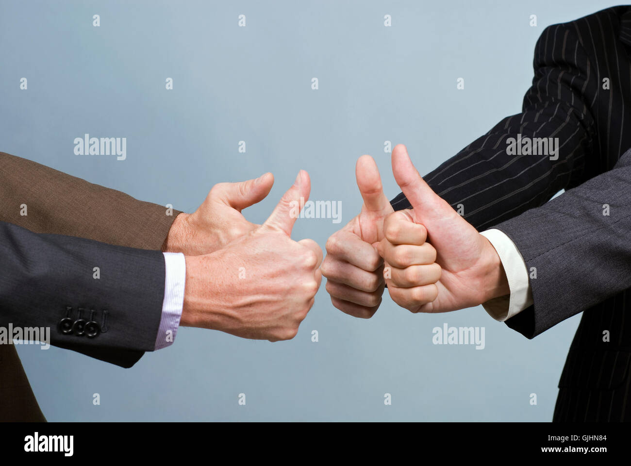 un parere Foto Stock
