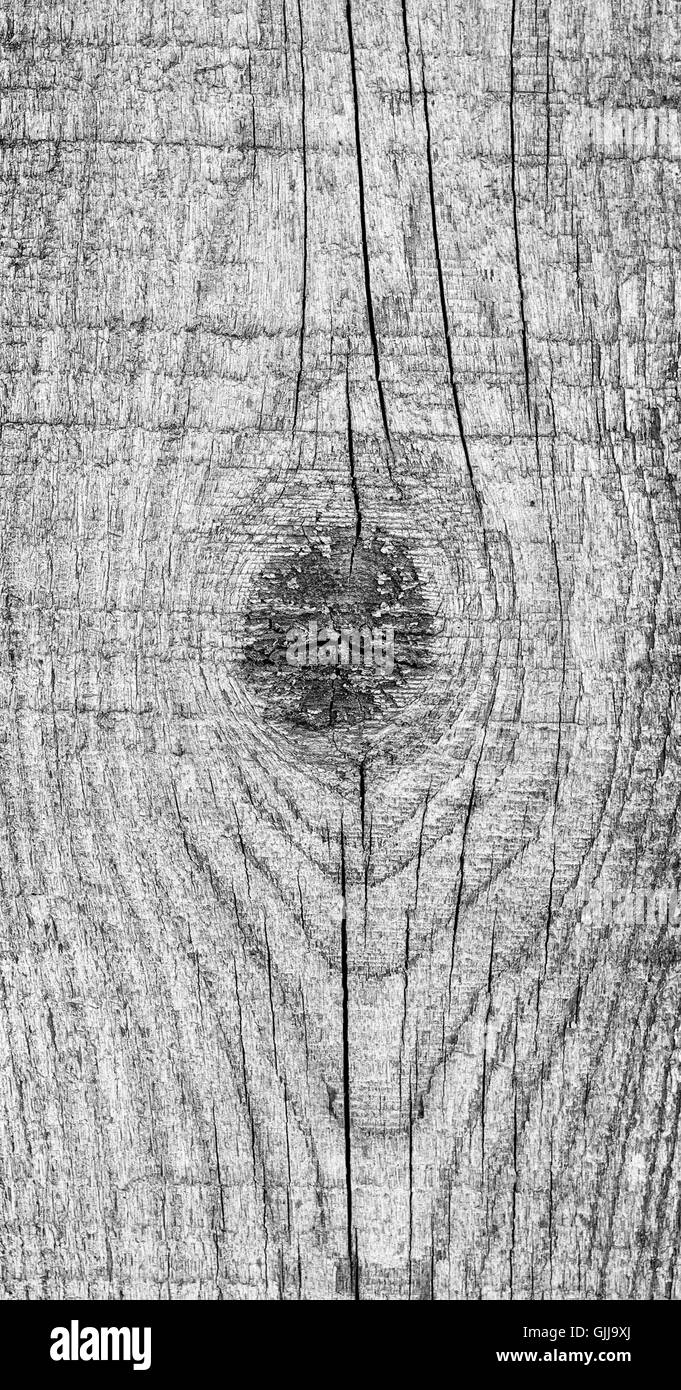 Vecchie tavole di legno texture con segni di esposizione agli agenti atmosferici Foto Stock
