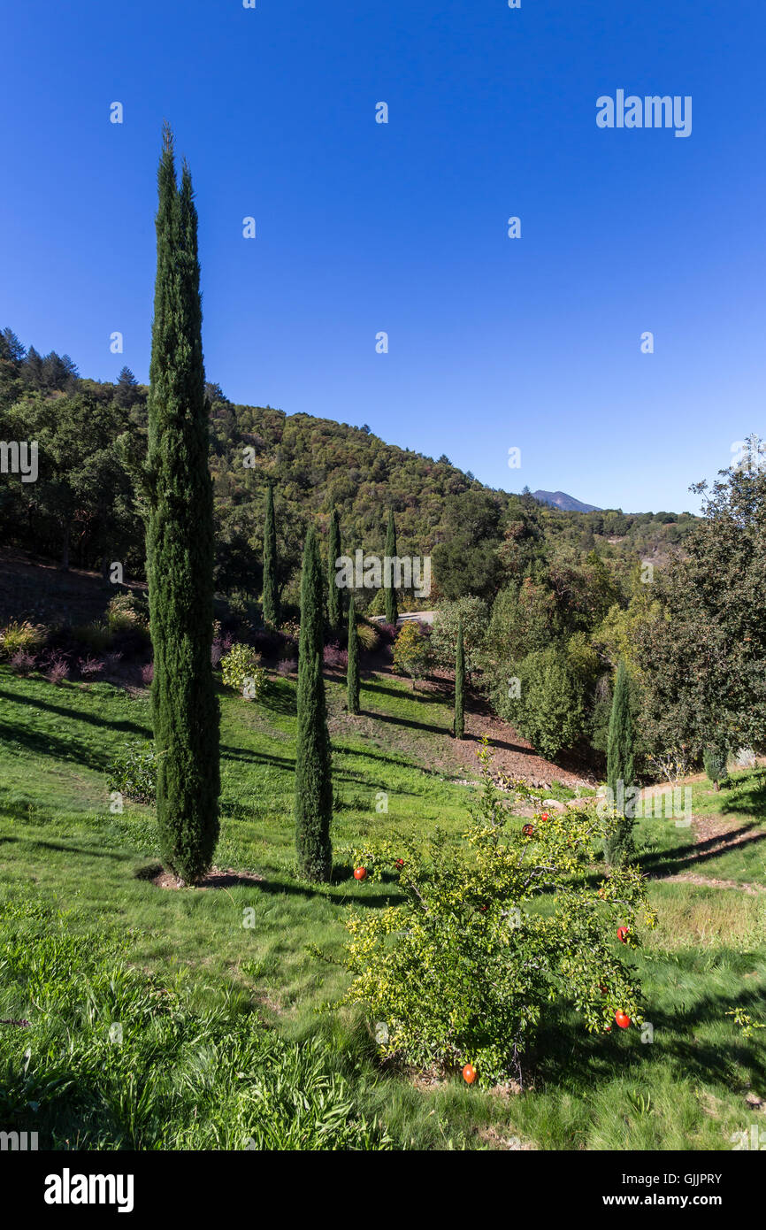 Giardino, giardinaggio, giardino paesaggistico, guardando ad est all'autostrada 29, vista dal Paradiso, colline, Blankiet Estate, Yountville, Napa Valley, California Foto Stock